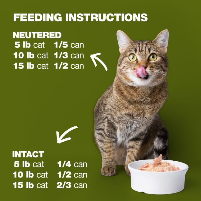 Natural Code 06 Vista un daŗzeņi, 85g