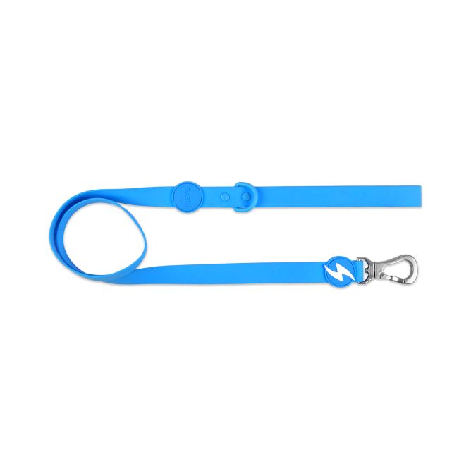 Pavada suņiem COLORFLEX, zila, M