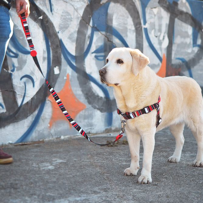 Pavada suņiem SLIDE, L