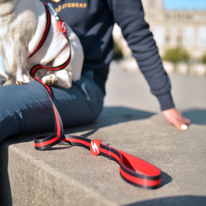 Pavada suņiem STRIPES3, melns/sarkans, L