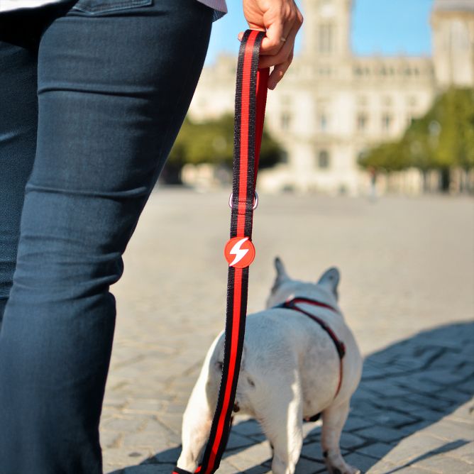 Pavada suņiem STRIPES3, melns/sarkans, M