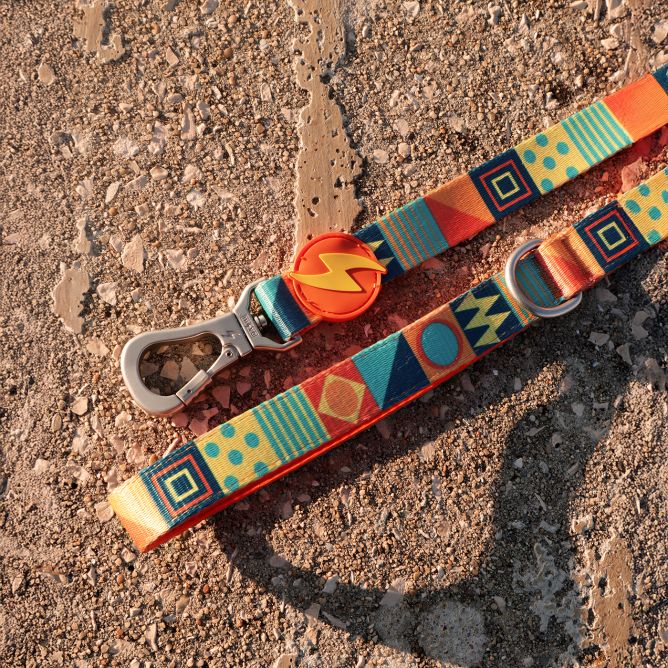 Pavada suņiem TERRACOTTA, M