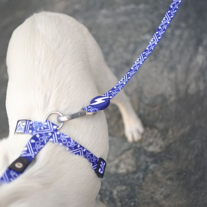 Pavada suņiem ZILLIJ, L