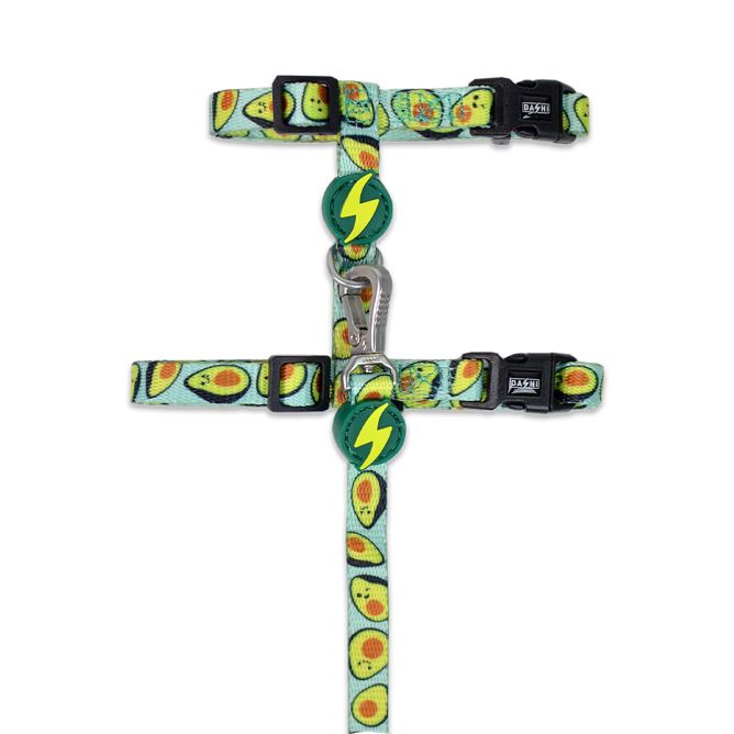 Iemaukti ar pavadu kaķiem AVOCADO