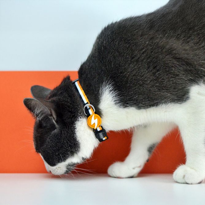 Kaklasiksna kaķiem STRIPES3, oranžs/melns