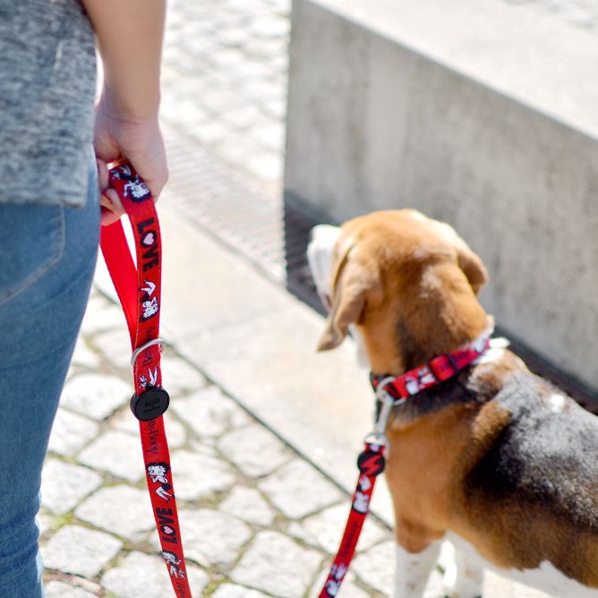 Kaklasiksna suņiem VINTAGE BETTY, XS