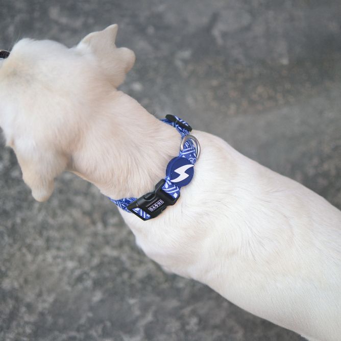 Kaklasiksna suņiem ZILLIJ, XS