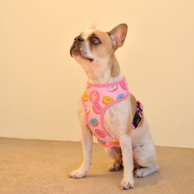 Mīkstie NeoMesh muguras iemaukti suņiem DONUT, L