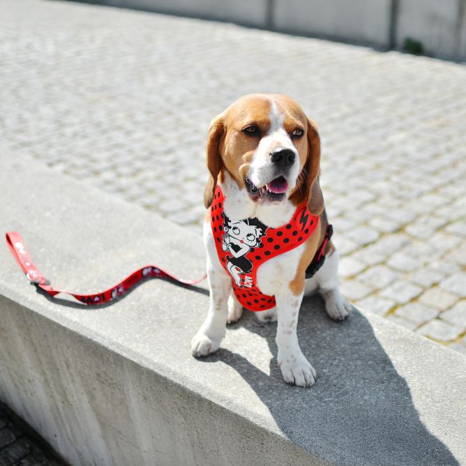 Mīkstie NeoMesh muguras iemaukti suņiem VINTAGE BETTY, M