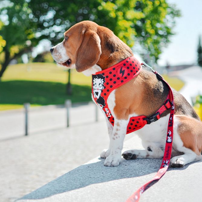 Mīkstie NeoMesh muguras iemaukti suņiem VINTAGE BETTY, M