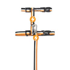 Muguras iemaukti ar pavadu kaķiem STRIPES3, oranžs/melns