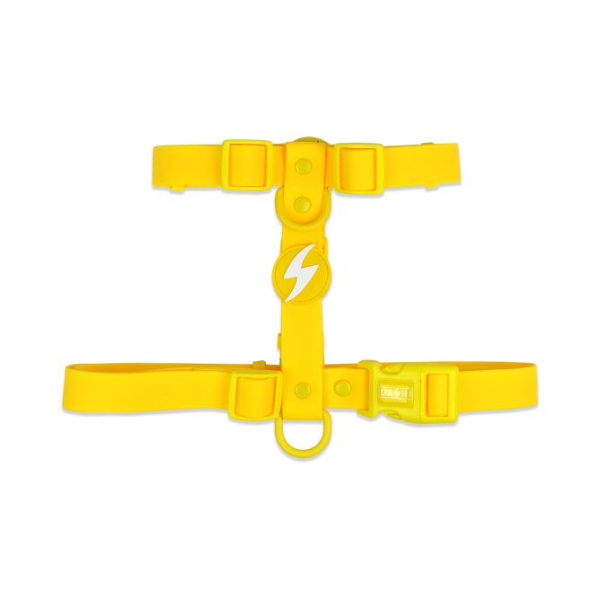 Muguras iemaukti suņiem COLORFLEX, dzelteni, L