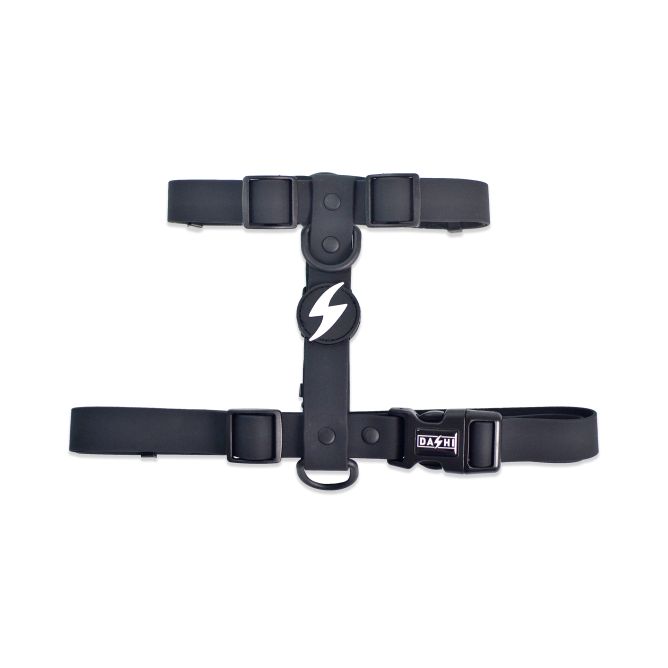 Muguras iemaukti suņiem COLORFLEX, melni, XS