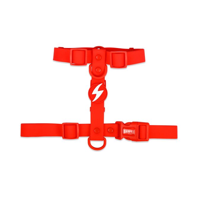 Muguras iemaukti suņiem COLORFLEX, sarkani, S