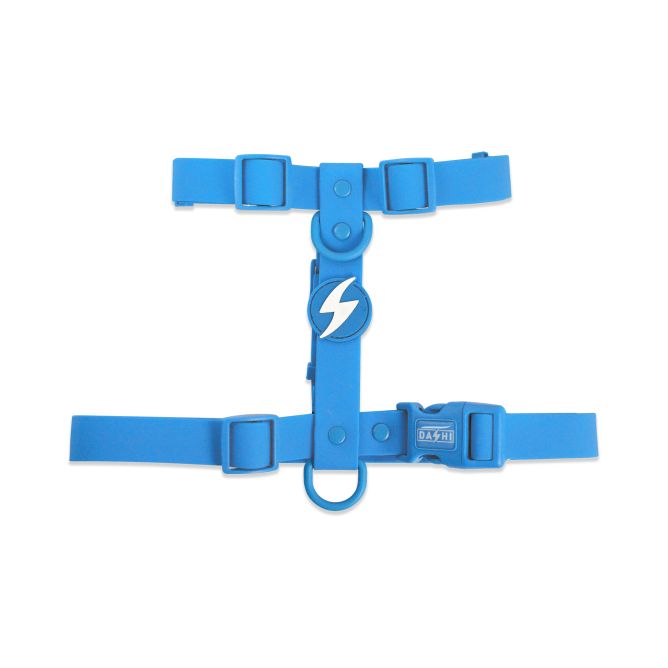 Muguras iemaukti suņiem COLORFLEX, zili, S