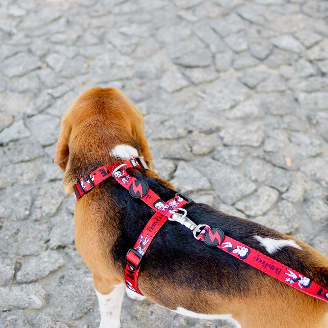 Muguras iemaukti suņiem VINTAGE BETTY, XS