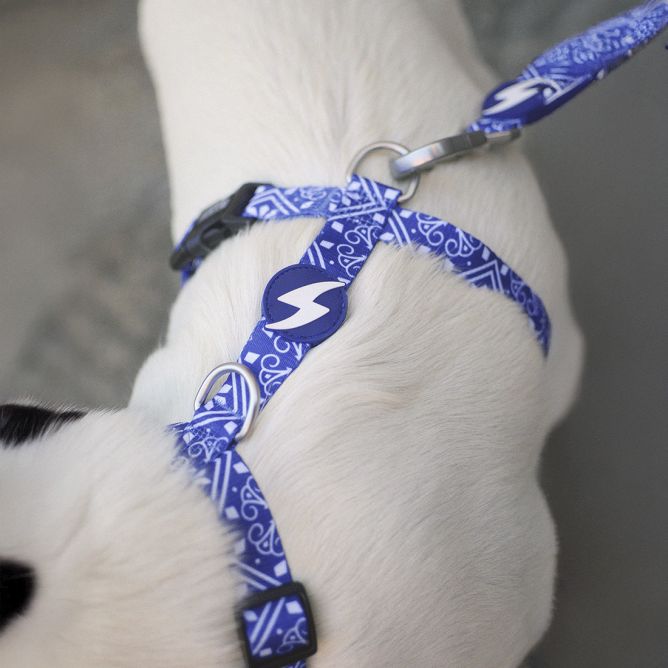 Muguras iemaukti suņiem ZILLIJ, S