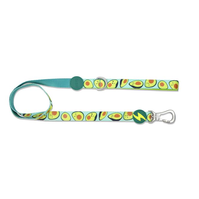 Pavada suņiem AVOCADO, S