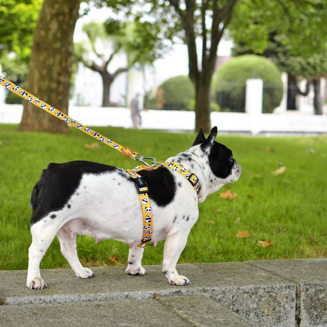 Pavada suņiem SNOOZE, XS