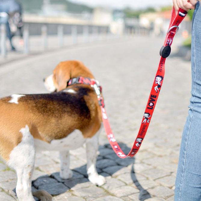 Pavada suņiem VINTAGE BETTY, XS