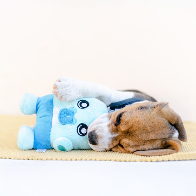 Plīša rotaļlieta suņiem ALBU