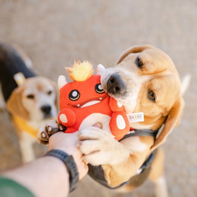 Plīša rotaļlieta suņiem BENZI