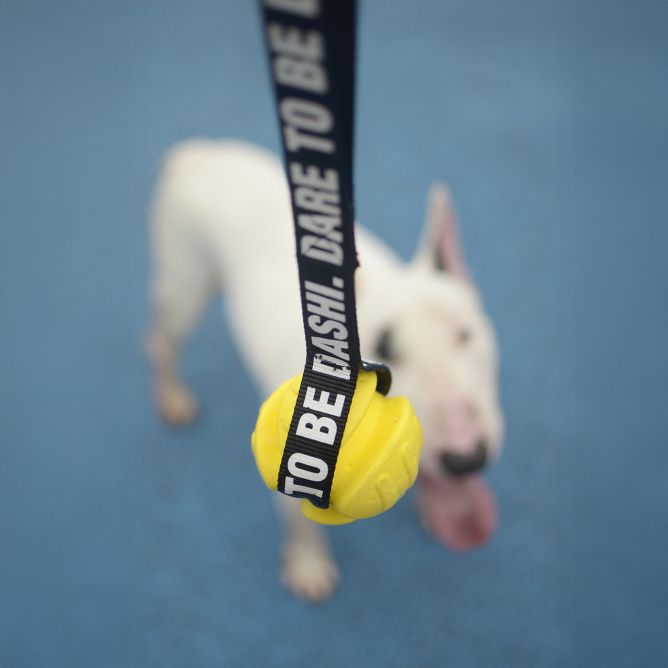 Rotaļlieta suņiem Yellow TPR Ball