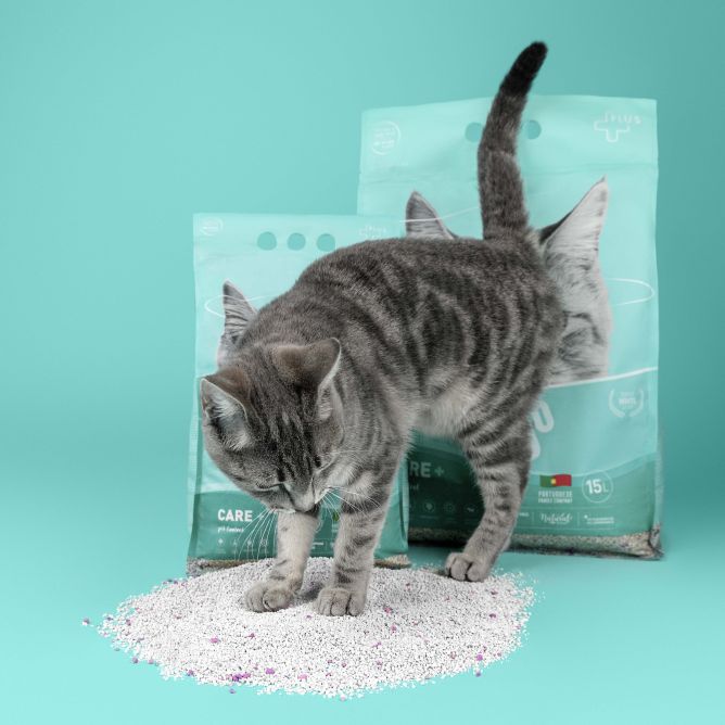 Care+ kaķu pakaiši ar pH kontroli, 5L