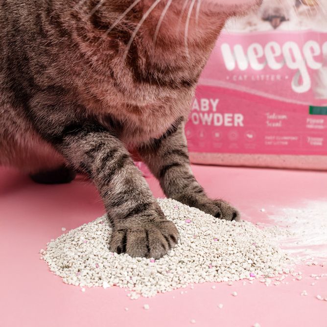 Kaķu pakaiši BABY POWDER 5L