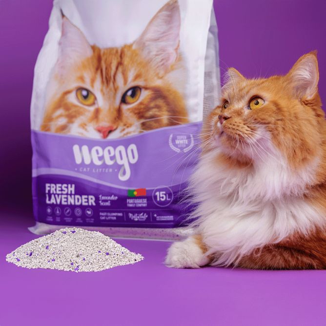 Kaķu pakaiši FRESH LAVENDER  15L