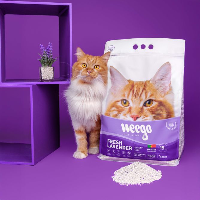 Kaķu pakaiši FRESH LAVENDER 5L