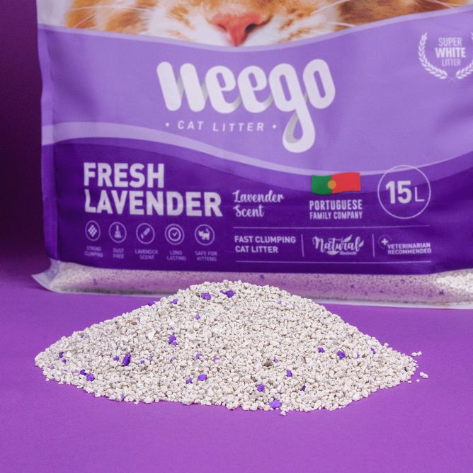 Kaķu pakaiši FRESH LAVENDER 5L