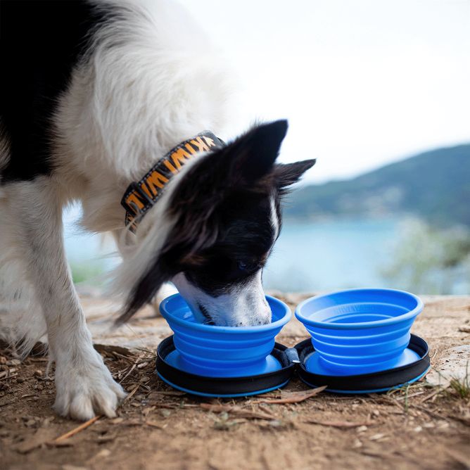 Kiwi Walker dubultā ceļojumu bļoda, zila
