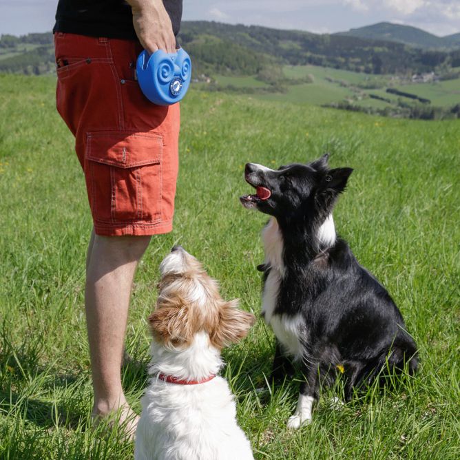 Kiwi Walker silikona kārumu somiņa, zila