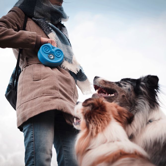 Kiwi Walker silikona kārumu somiņa, zila