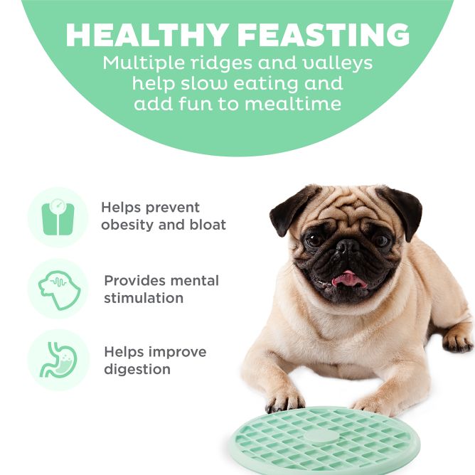 Lēnēšanas bļoda brahiocefāliskām suņu šķirnēm Fun Feeder Slo Tray