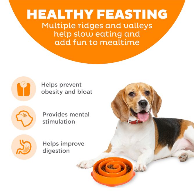 Lēnēšanas bļoda Fun Feeder Swirl, oranža, M