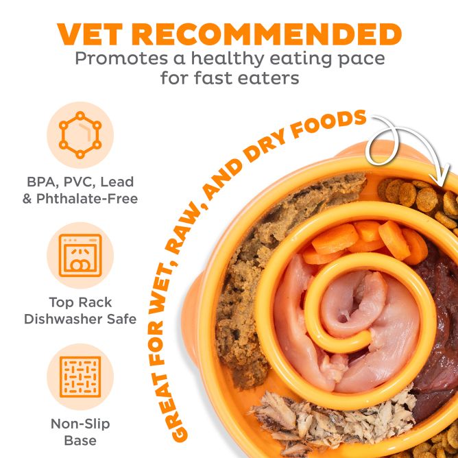 Lēnēšanas bļoda Fun Feeder Swirl, oranža, M