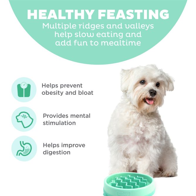 Lēnēšanas bļoda Fun Feeder Wave, gaiši zaļa, S