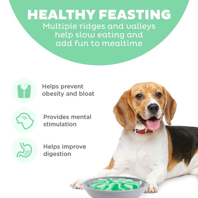 Lēnēšanas bļoda Fun Feeder Wobble Slo Bowl