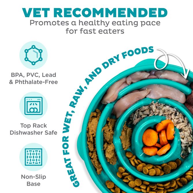 Lēnēšanas bļoda suņiem Fun Feeder Drop, tirkīza, L