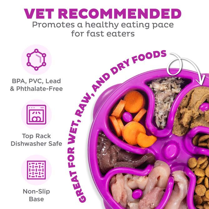 Lēnēšanas bļoda suņiem Fun Feeder Flower, L