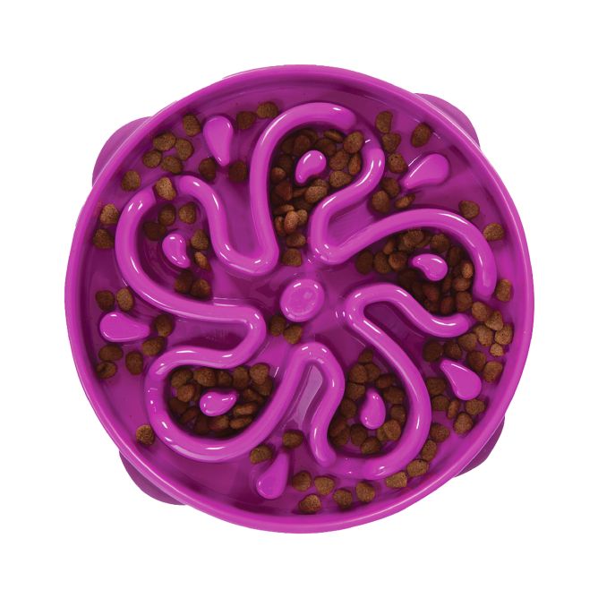 Lēnēšanas bļoda suņiem Fun Feeder Flower, L