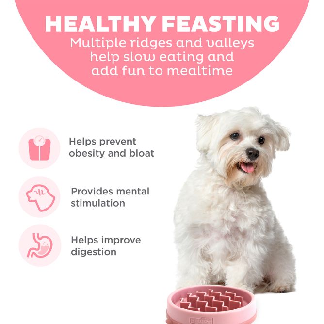 Lēnēšanas bļoda suņiem Fun Feeder Wave, rozā, S