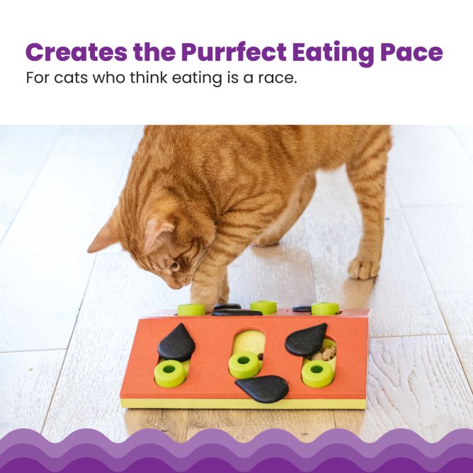 Puzle kaķiem Puzzle&Play Melon Madness