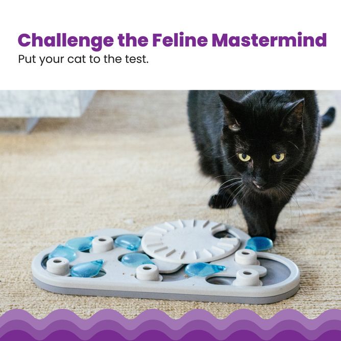 Puzle kaķiem Puzzle&Play Rainy Day