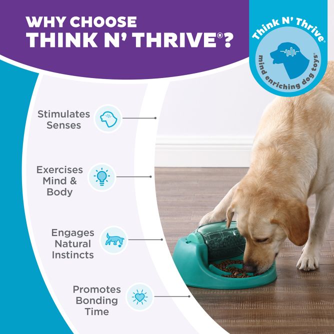 Puzle - lēnēšanas bļoda suņiem Dog Spin N' Eat