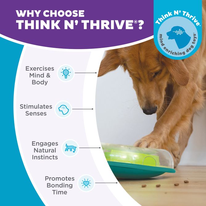 Puzle - lēnēšanas bļoda suņiem Wooble Bowl