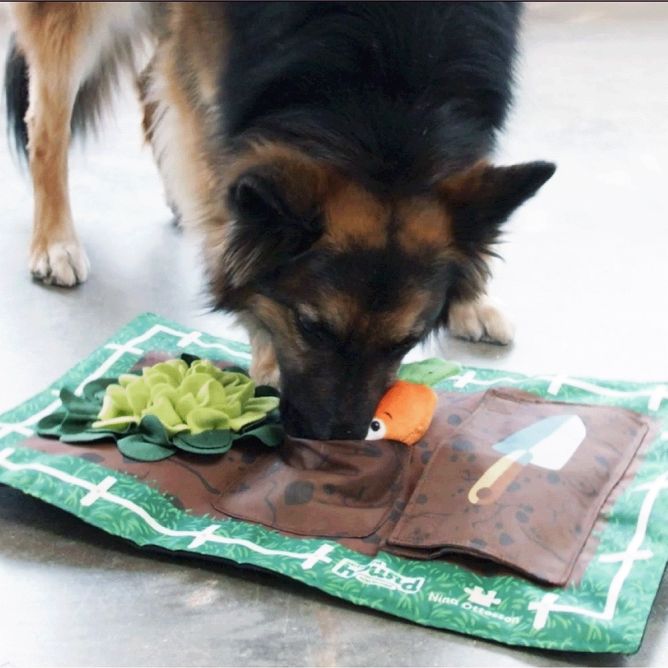 Puzle suņiem Activity Matz Garden Game