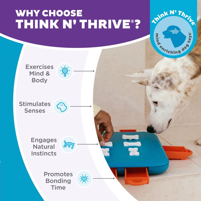 Puzle suņiem Dog Casino